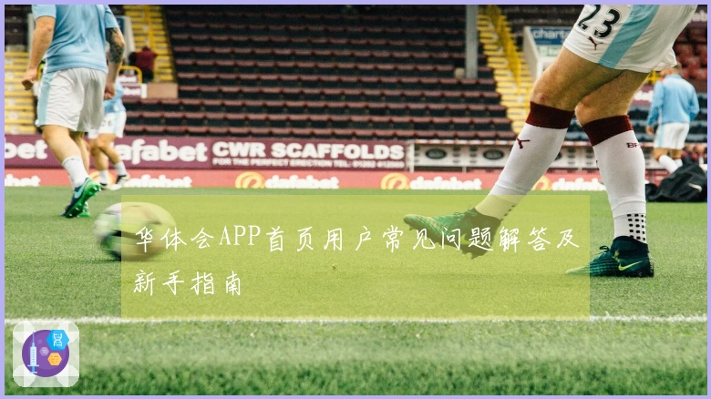 华体会APP首页用户常见问题解答及新手指南