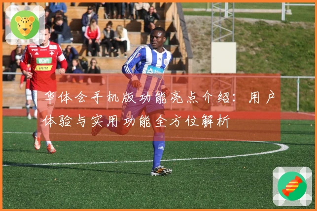 华体会手机版功能亮点介绍：用户体验与实用功能全方位解析